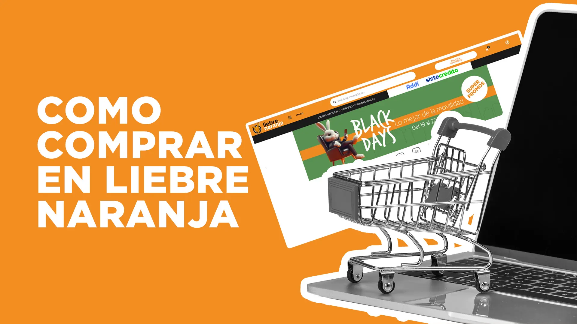 Como comprar en Liebre Naranja 